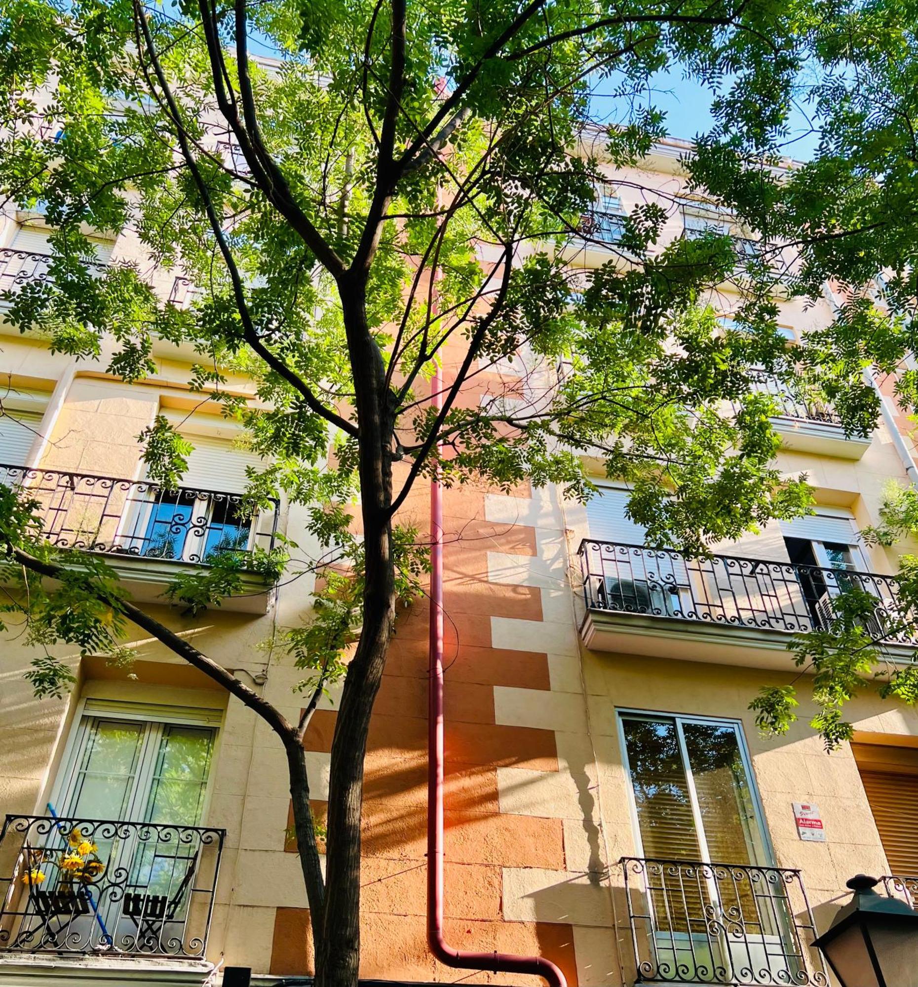 Atocha Cozy Home 마드리드 외부 사진